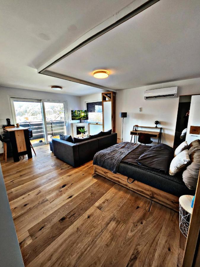 Lions Place Premium Apartments Executive Luxus Penthouse Inklusive Spa Heidenheim an der Brenz Exterior photo