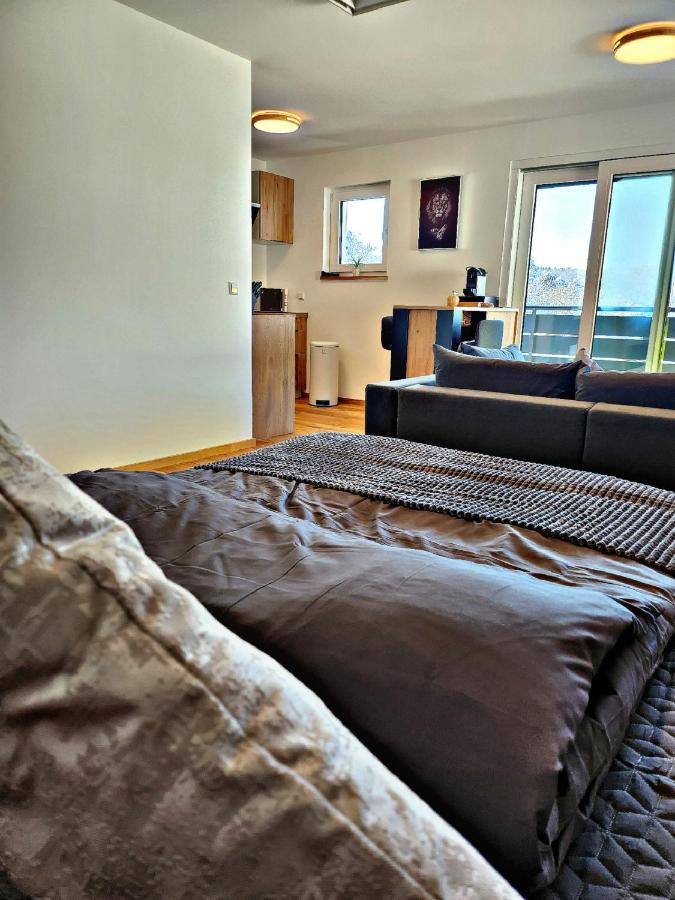 Lions Place Premium Apartments Executive Luxus Penthouse Inklusive Spa Heidenheim an der Brenz Exterior photo