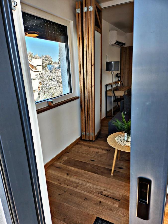 Lions Place Premium Apartments Executive Luxus Penthouse Inklusive Spa Heidenheim an der Brenz Exterior photo