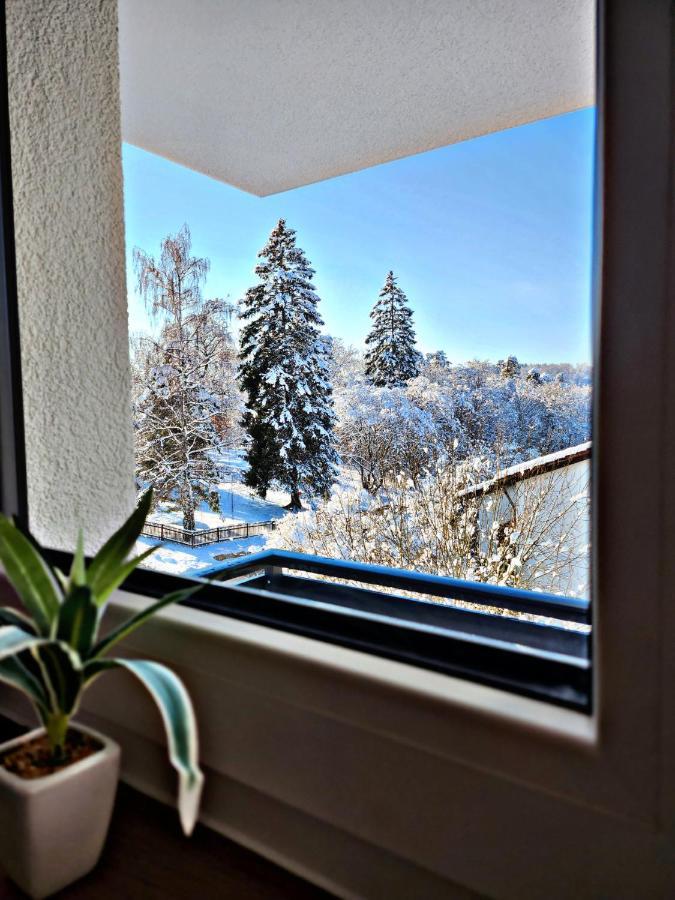 Lions Place Premium Apartments Executive Luxus Penthouse Inklusive Spa Heidenheim an der Brenz Exterior photo