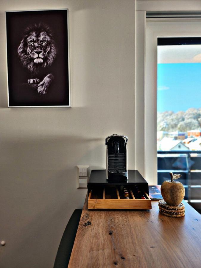 Lions Place Premium Apartments Executive Luxus Penthouse Inklusive Spa Heidenheim an der Brenz Exterior photo