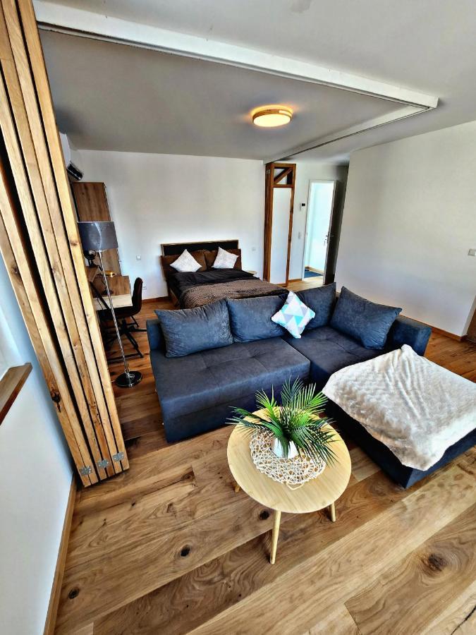 Lions Place Premium Apartments Executive Luxus Penthouse Inklusive Spa Heidenheim an der Brenz Exterior photo