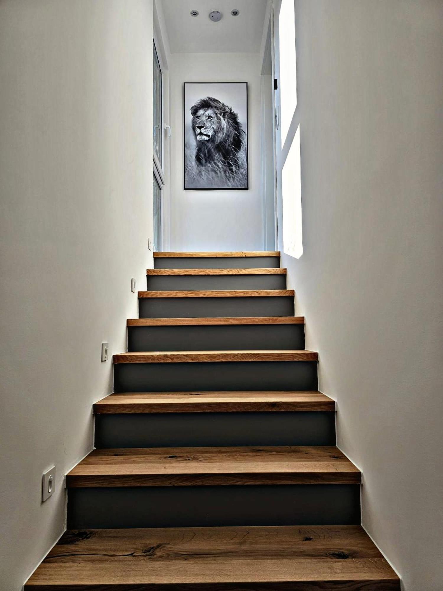 Lions Place Premium Apartments Executive Luxus Penthouse Inklusive Spa Heidenheim an der Brenz Exterior photo