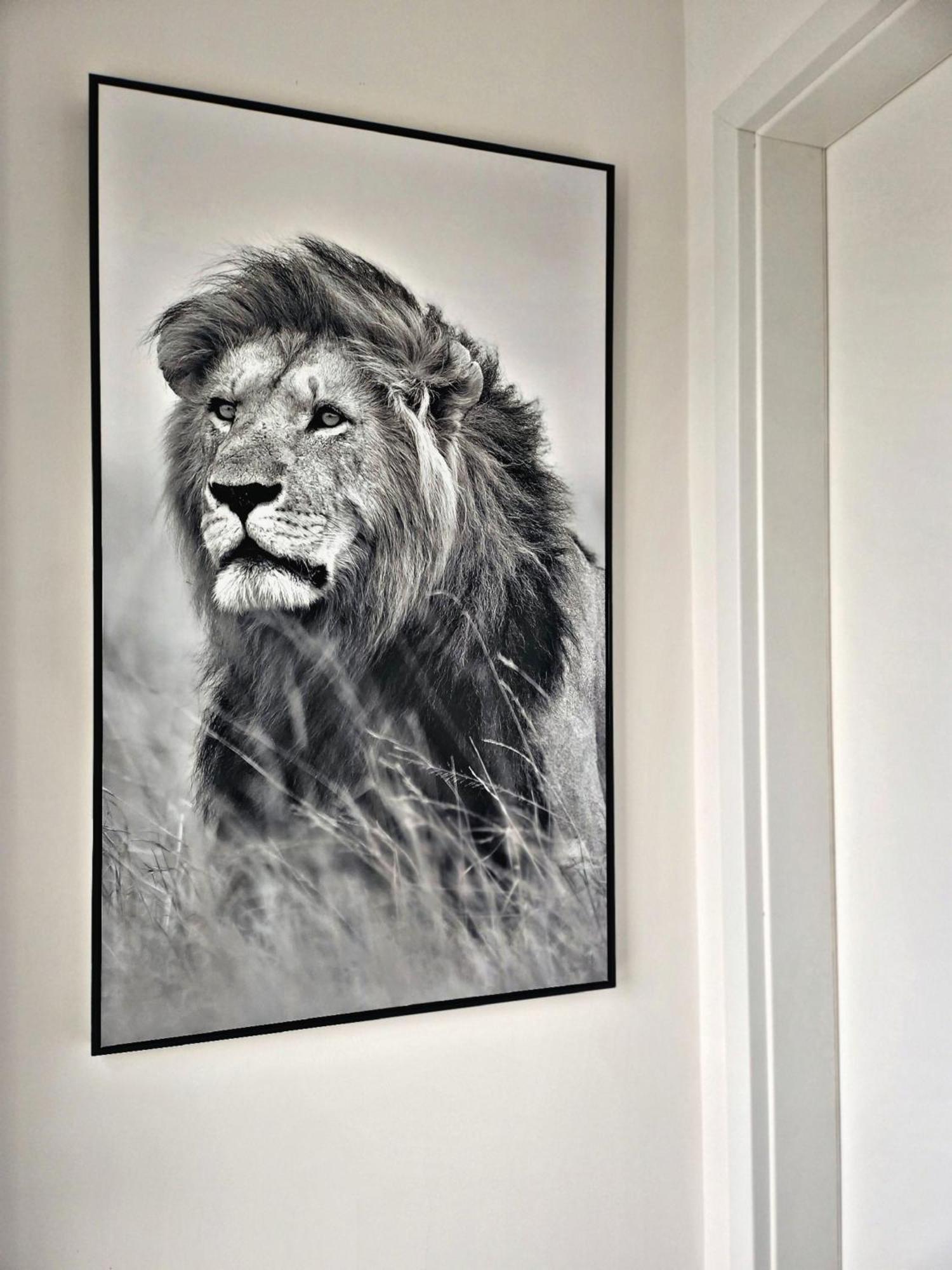 Lions Place Premium Apartments Executive Luxus Penthouse Inklusive Spa Heidenheim an der Brenz Exterior photo