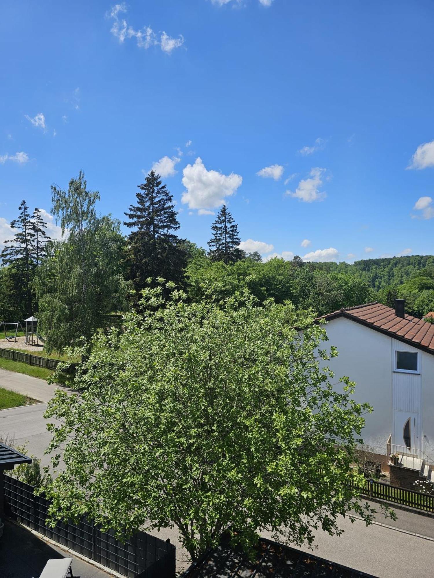 Lions Place Premium Apartments Executive Luxus Penthouse Inklusive Spa Heidenheim an der Brenz Exterior photo
